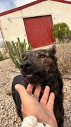 Lena Image 2